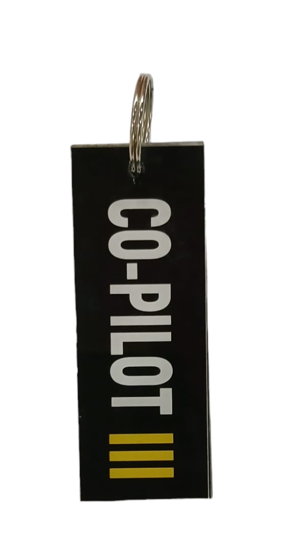 CO-PILOT III [3] STRIPE'S Plastic Double Sided Printing. - Pilots Cart